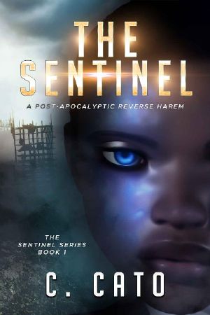 [Sentinel 01] • The Sentinel